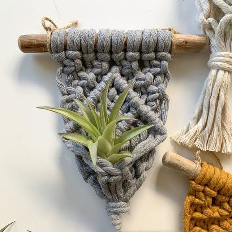 Mini Macrame Plant Hangers