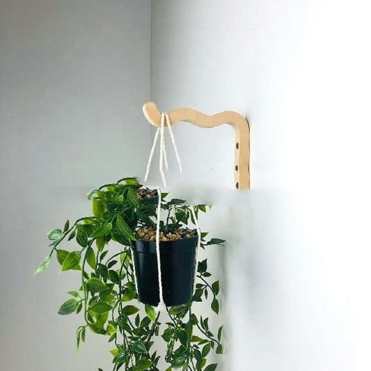 Mini Macrame Plant Hangers