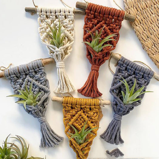 Mini Macrame Plant Hangers