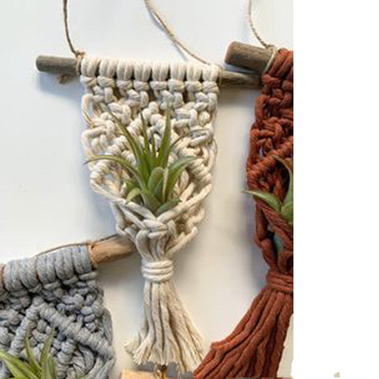 Mini Macrame Plant Hangers